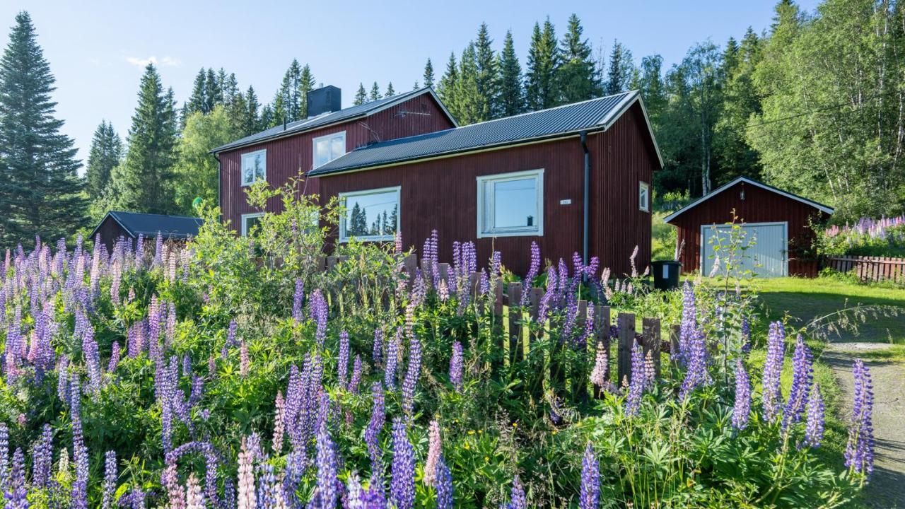 The Bear'S Den Villa Håkafot Eksteriør billede