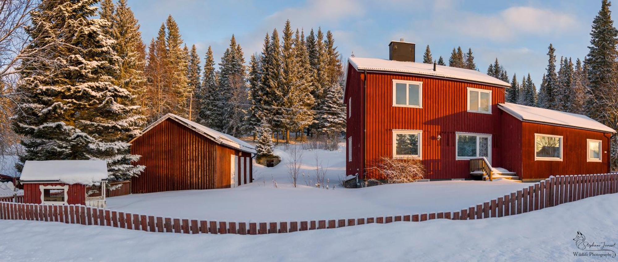 The Bear'S Den Villa Håkafot Eksteriør billede